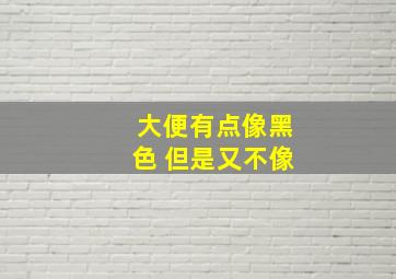 大便有点像黑色 但是又不像